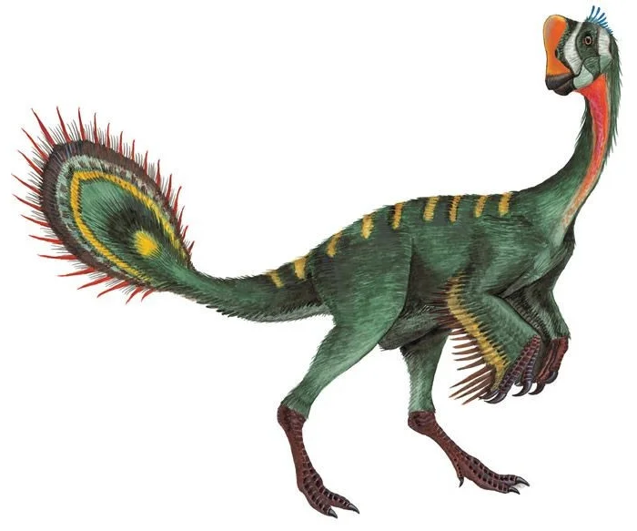 Exploring Nomingias Unique Tail Structure - A Masterpiece of Evolution from Mongolia