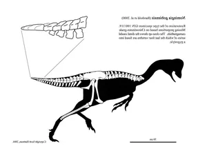 Exploring Nomingias Unique Tail Structure - A Masterpiece of Evolution from Mongolia - image 2