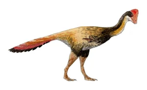 Exploring Nomingias Unique Tail Structure - A Masterpiece of Evolution from Mongolia - image 1