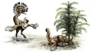 Exploring Nomingias Unique Tail Structure - A Masterpiece of Evolution from Mongolia - image 5