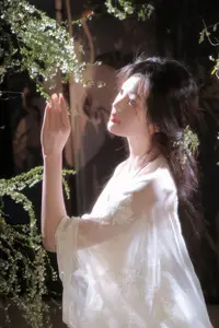 Jia Yi Vol.8827: Ethereal Beauty in YiTuYu Art Collection - image 5
