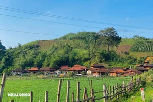 Huu Lien: A Pristine Escape Amidst the Lush Green Mountains of Lang Son - image 3