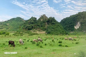 Huu Lien: A Pristine Escape Amidst the Lush Green Mountains of Lang Son - image 2