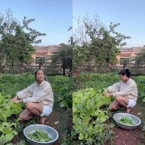 H'Hen Nie's Lush Green Vegetable Garden in Her Hometown - image 1