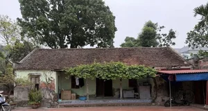Artist Xuan Hinh’s Exquisite Miniature Traditional House: A Masterpiece of Cultural Art - image 0