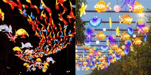 Experience the Magic of the Giant Lantern Street in East Hanoi - image 11