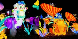 Experience the Magic of the Giant Lantern Street in East Hanoi - image 3