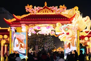 Experience the Magic of the Giant Lantern Street in East Hanoi - image 13