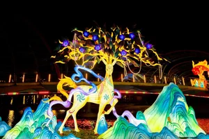 Experience the Magic of the Giant Lantern Street in East Hanoi - image 14
