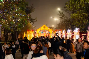 Experience the Magic of the Giant Lantern Street in East Hanoi - image 8
