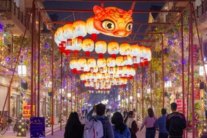 Experience the Magic of the Giant Lantern Street in East Hanoi - image 2