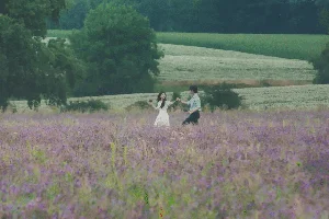 Queen of Tears Filming Locations: A Guide to the Most Romantic Spots - image 5