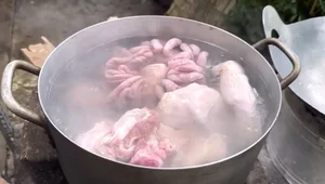 50-Year-Old Unmarried Actor Warms Hearts by Cooking Traditional Dishes for His Mother - image 1