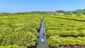 Discover Van Tuong: A Sustainable Escape into Vietnam's Pristine Coastal Nature and Slow Living - image 2