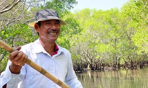 Discover Van Tuong: A Sustainable Escape into Vietnam's Pristine Coastal Nature and Slow Living - image 4