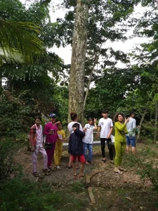 A Living Legend: The 100-Year-Old Durian Tree of the Mekong Delta - image 6