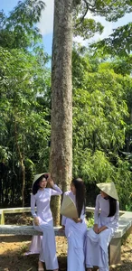 A Living Legend: The 100-Year-Old Durian Tree of the Mekong Delta - image 3