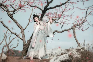 Spring Muse in Hanfu YiTuYu Art Language Vol.8879 Da Wai Wai Ge - image 1