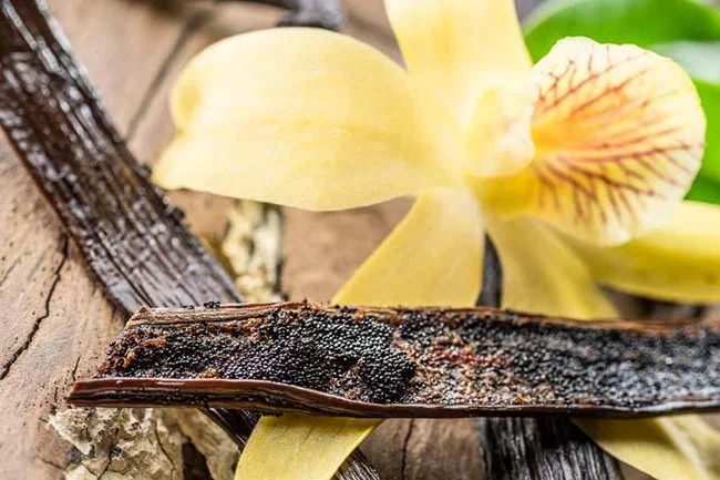 Vietnam Successfully Cultivates Luxury Spice Worth Up to 20 Million VND Per Kilogram