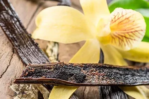 Vietnam Successfully Cultivates Luxury Spice Worth Up to 20 Million VND Per Kilogram - image 7
