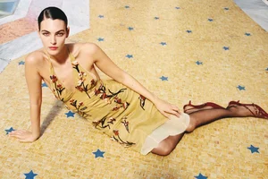 Leonardo DiCaprio's Girlfriend: Style, Glamour, and the Spotlight - image 1