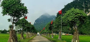 Discovering the Peaceful Beauty of Ho Van Cuong's Hometown in Nghe An - image 2
