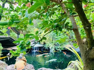 Inside Actor Hoang Map's Multi-Million Dollar Ancient Mansion for Sale - image 4