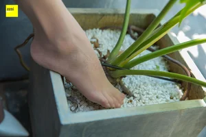 IESS Wan Ping's Q-Elastic Toes Aesthetic Detail Gallery - image 73