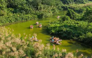 Trang An White Reed Season: Discover Its Ethereal Beauty & Peaceful Charm - image 0