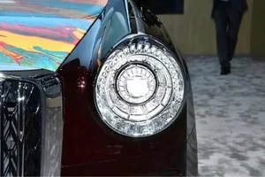 Hongqi Golden Sunflower: The Ultra-Luxury Chinese Car Costing Double a Rolls-Royce - image 11