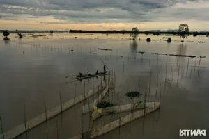 Night Hunting for Delicacies in the Mekong Delta Floating Season - image 12