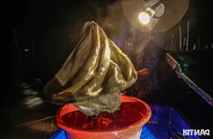 Night Hunting for Delicacies in the Mekong Delta Floating Season - image 9