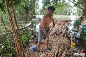 Night Hunting for Delicacies in the Mekong Delta Floating Season - image 11