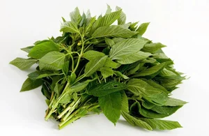 The Rise of Slimy Vegetables: Local Superfood Captivates International Markets - image 6