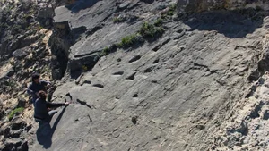Ancient Tracks: What 78,000-Year-Old Footprints Tell Us Today - image 0