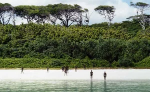 Exploring the Forbidden: The Isolated Island No One Dares to Visit - image 4