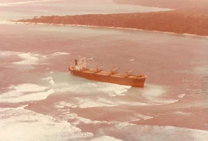 Exploring the Forbidden: The Isolated Island No One Dares to Visit - image 2