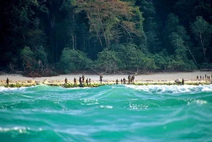 Exploring the Forbidden: The Isolated Island No One Dares to Visit - image 7