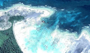 Exploring the Forbidden: The Isolated Island No One Dares to Visit - image 5