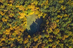 Exploring Hoia Baciu: Inside Romania’s Terrifying and Haunted Forest - image 1