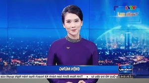 Discover the Elegant Beauty of VTV’s Private and Captivating Female Television Host Making Waves Online - image 1
