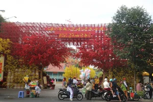 Top Must-Visit Tet Photo and Check-In Spots in Ho Chi Minh City - image 5