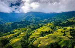 Discover Why Lonely Planet Calls Hoi An Ancient Town a Rare Destination and Must-Visit Gem in Vietnam for Every Global Traveler - image 4