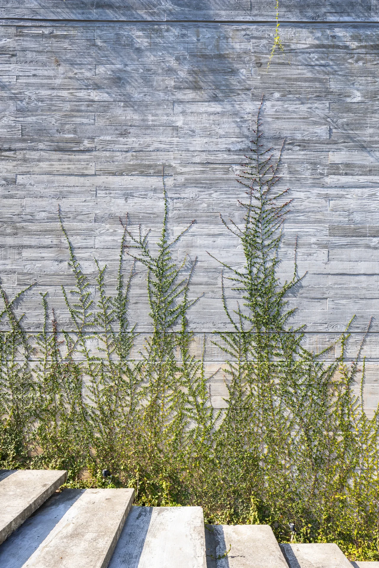 Dora Villa: Sustainable Raw Concrete Architecture Filled with Natural Light