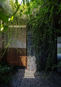 Dora Villa: Sustainable Raw Concrete Architecture Filled with Natural Light - image 32