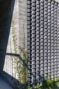 Dora Villa: Sustainable Raw Concrete Architecture Filled with Natural Light - image 20