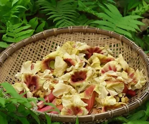 From Forgotten Orchard Waste to Urban Delicacy: The Rise of Traditional Specialty Fruits - image 6
