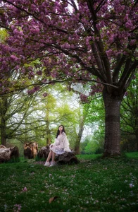Vietnamese Travelers Experience the Vibrant Magic of Spring Blossoms Across Europe - image 5