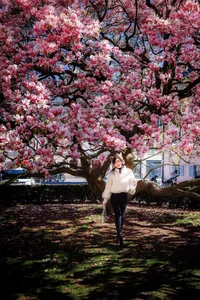Vietnamese Travelers Experience the Vibrant Magic of Spring Blossoms Across Europe - image 9