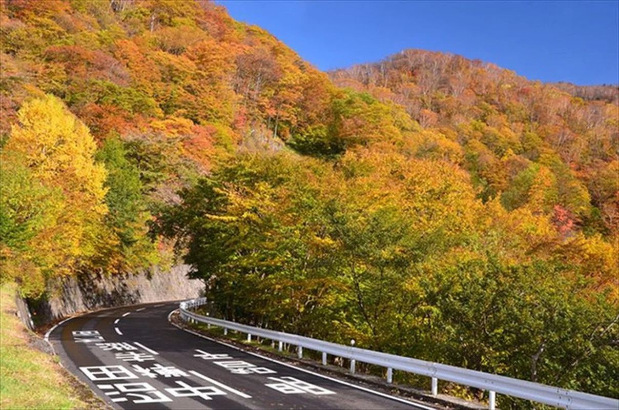 Stunning Autumn Views Along the Famous 48-Bend Scenic Road